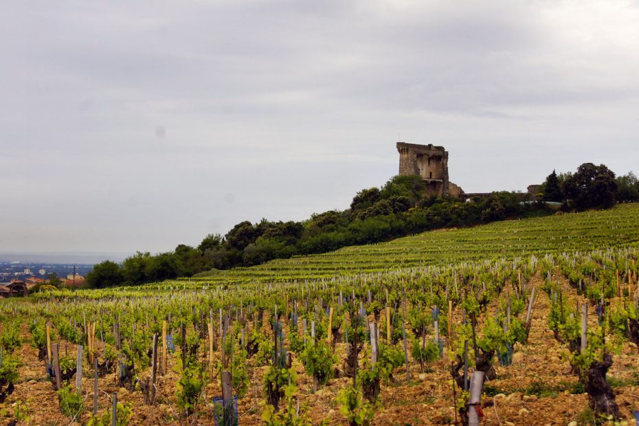 Chateauneuf du Pape