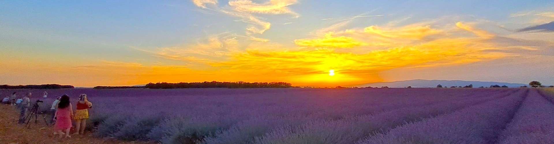 Prowansja zachód słońca Valensole