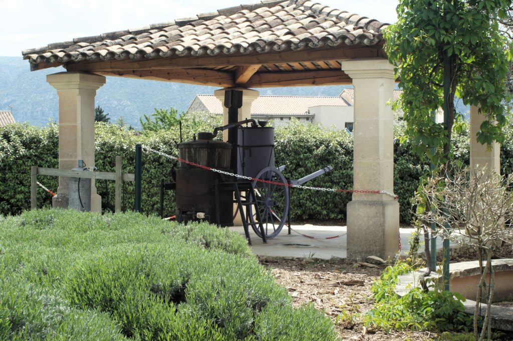 Muzeum lawendy dziedziniec