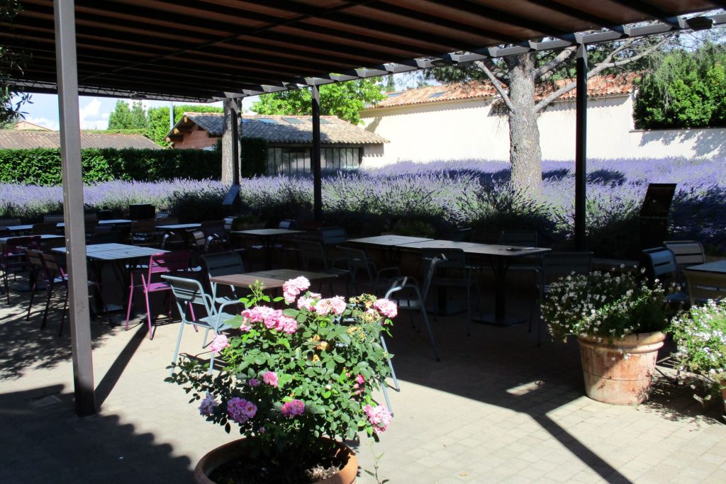 Muzeum lawendy - miejsce na piknik