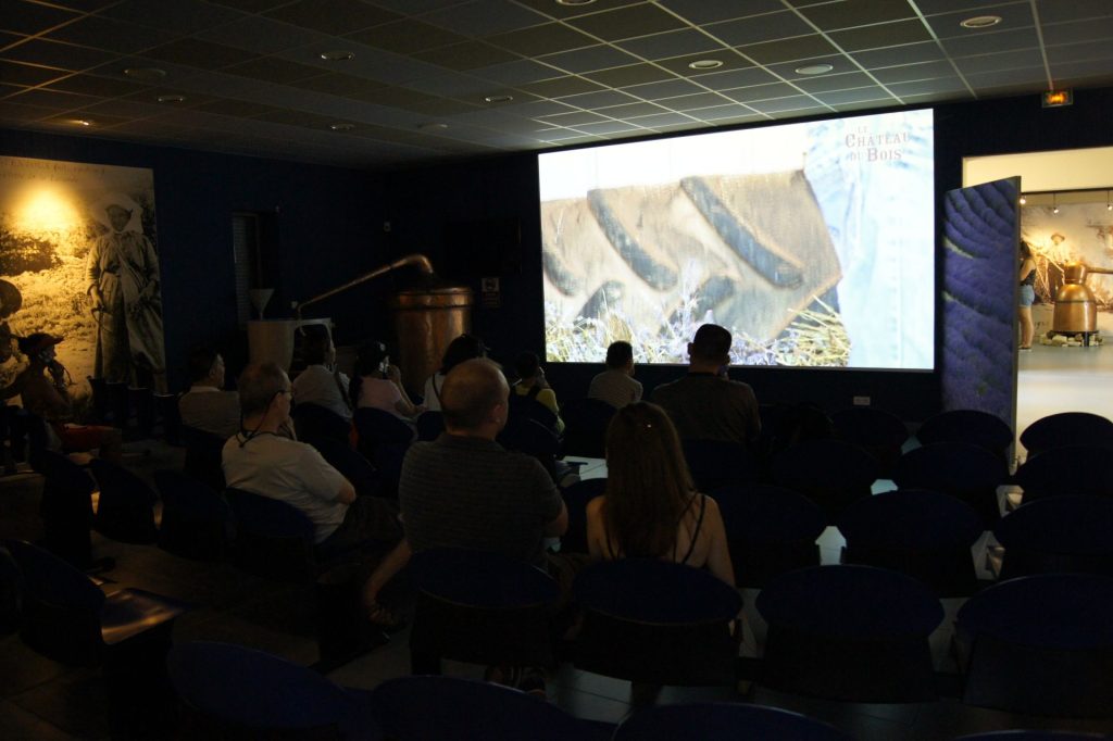 Muzeum Lawendy sala kinowa