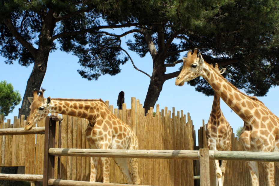 Zoo La Barben