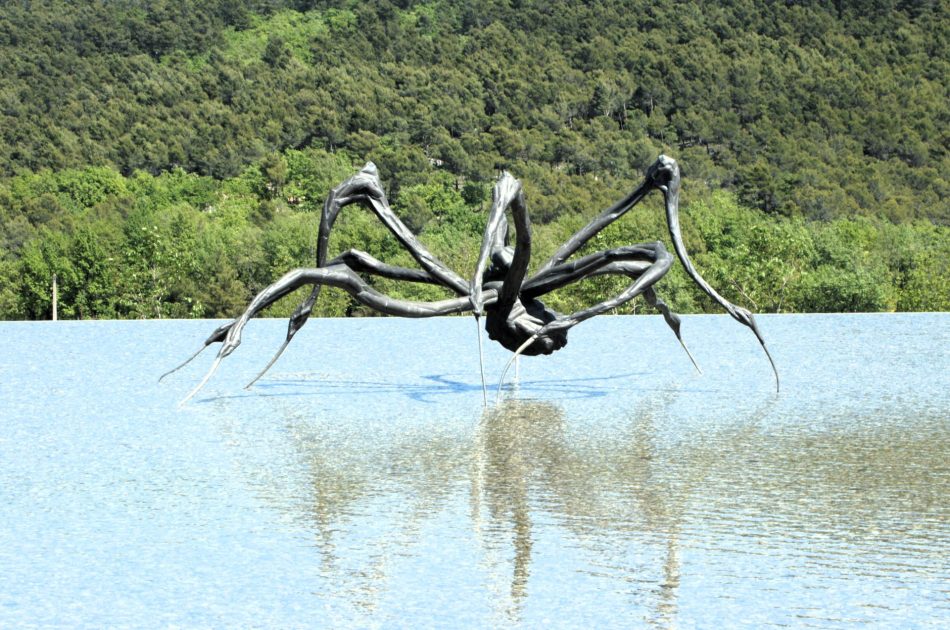 Chateau la Coste artystyczna winnica