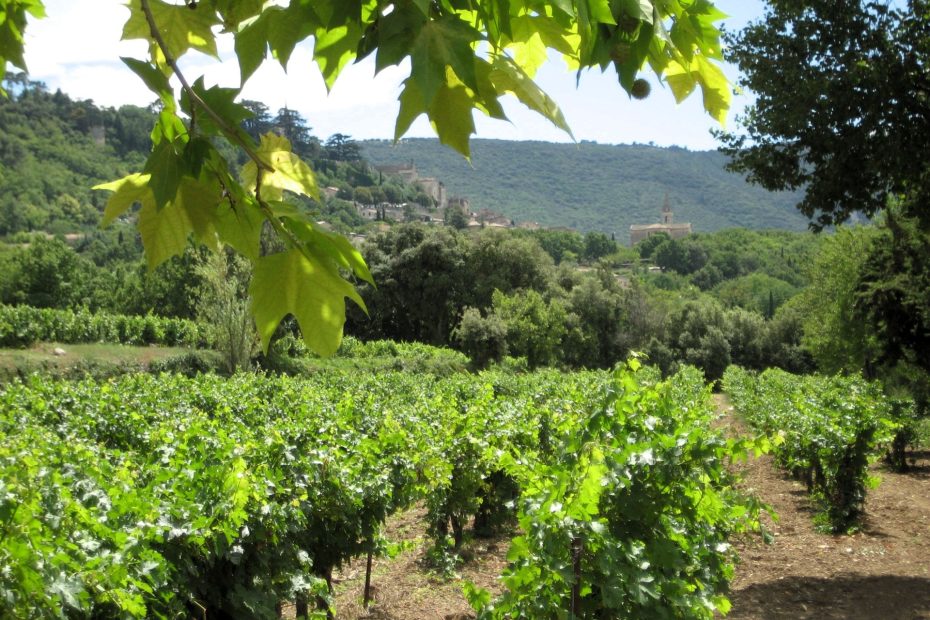 Bonnieux z Winnicy Canorgue