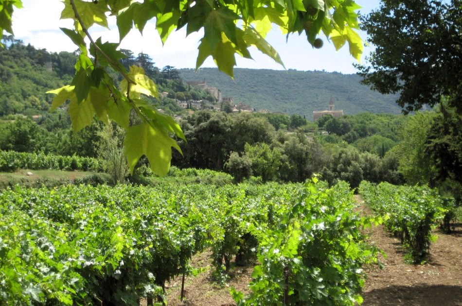 Bonnieux z Winnicy Canorgue