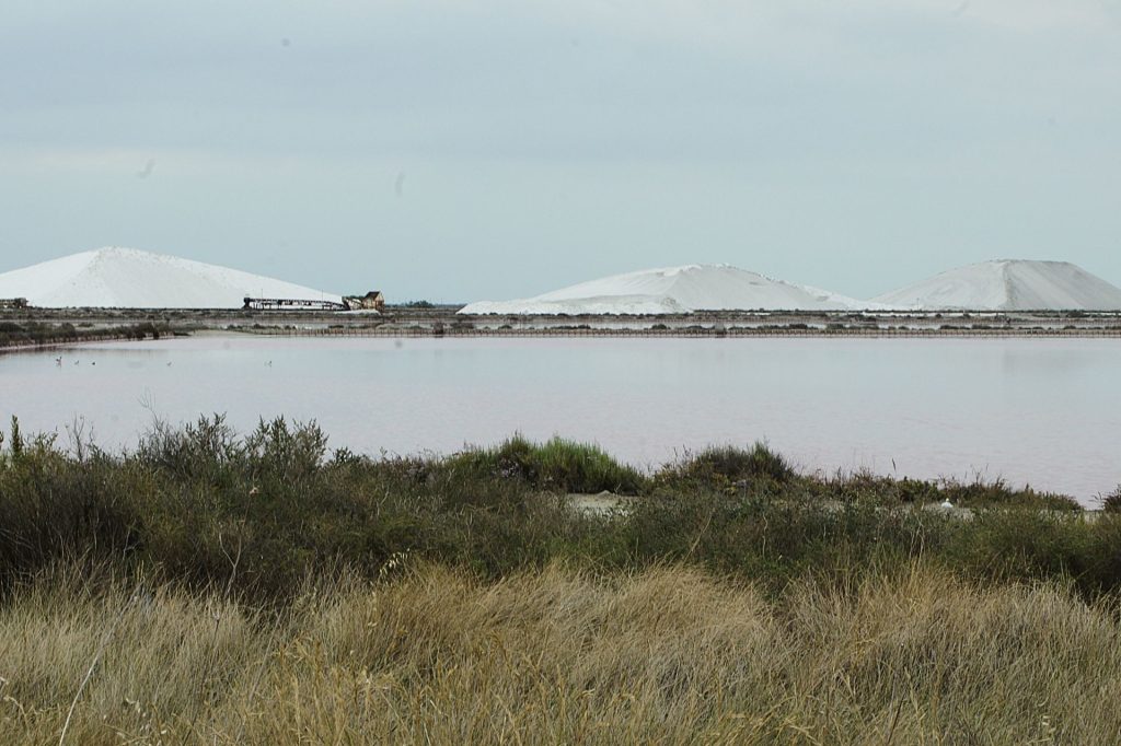 Sól Camargue