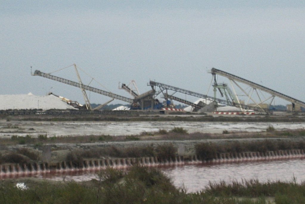 Historia soli Camargue