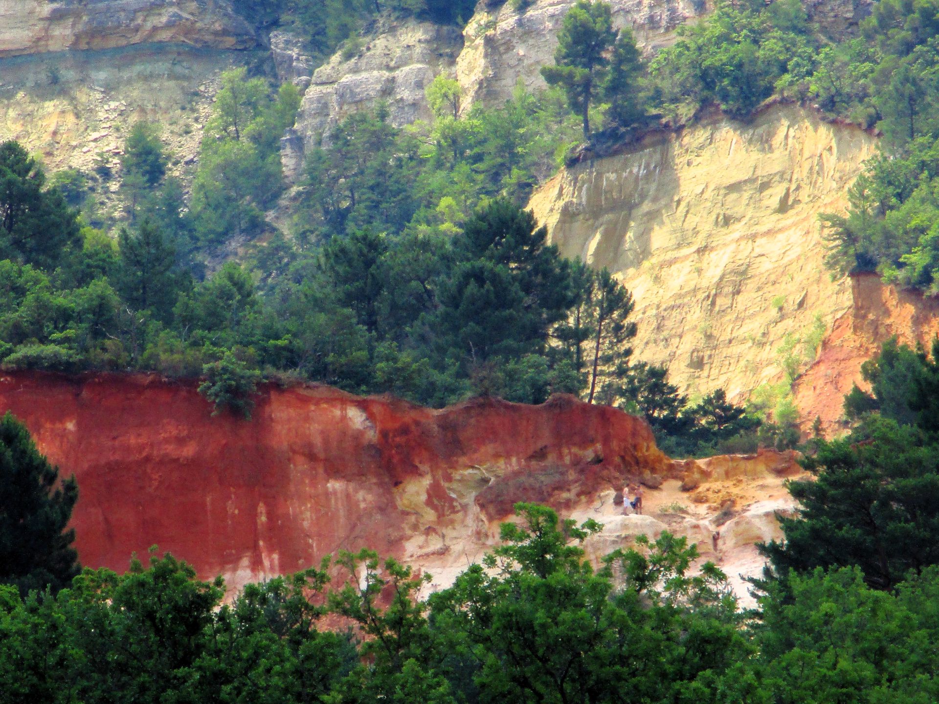 Ochra skrajne kolory-HD