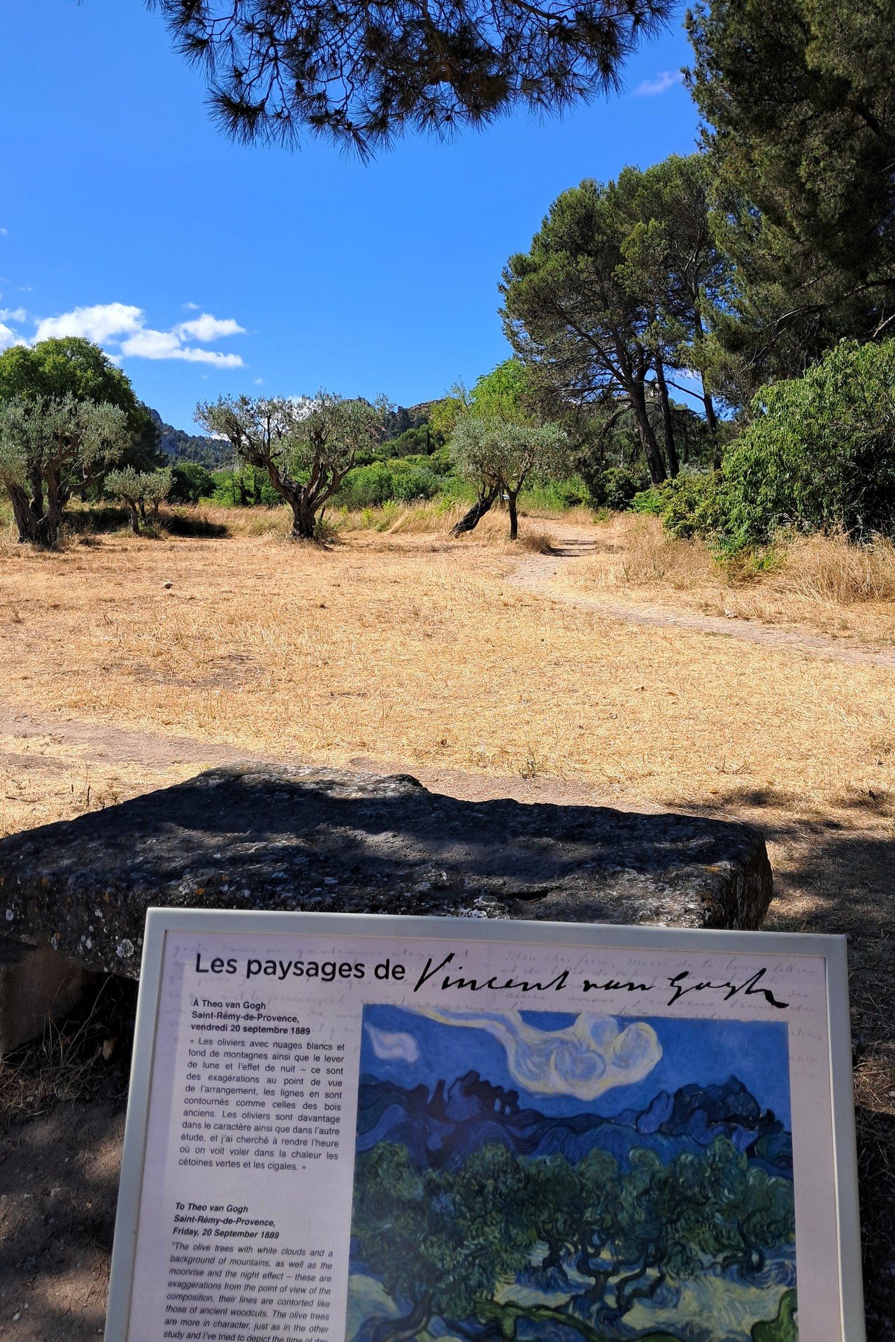 Van Gogh w Prowansji - Saint Remy