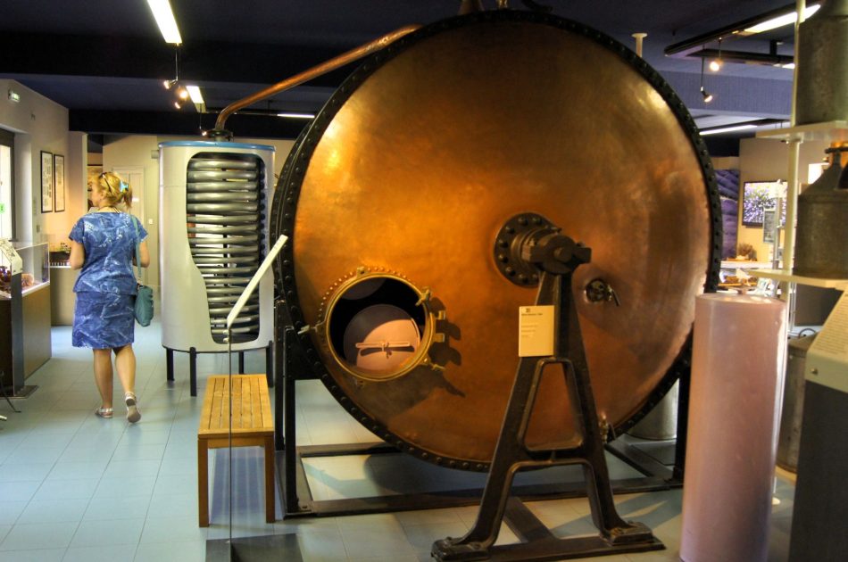 Wizyta w muzeum lawendy