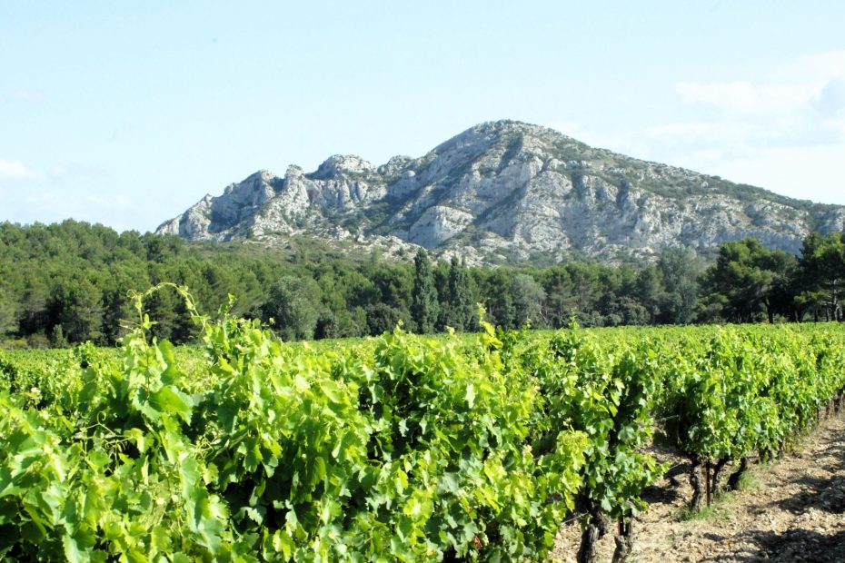 Alpilles