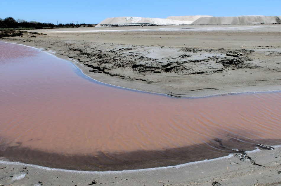 Sól Camargue
