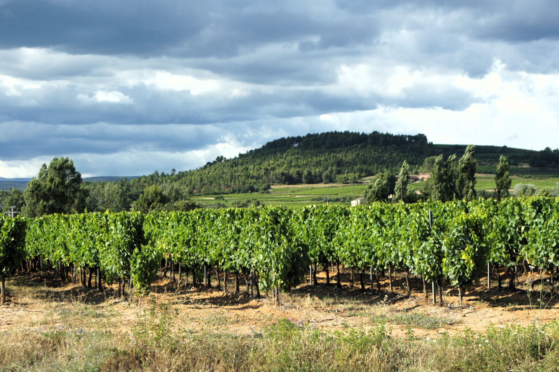 Luberon