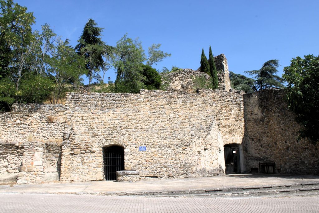 Visan ruiny zamku
