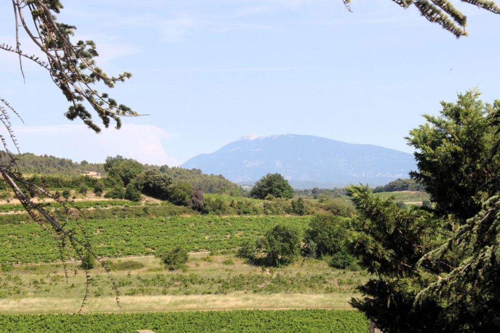 Visan widok na Mont Ventoux